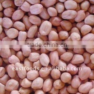 supplying agriculture peanuts(round type)