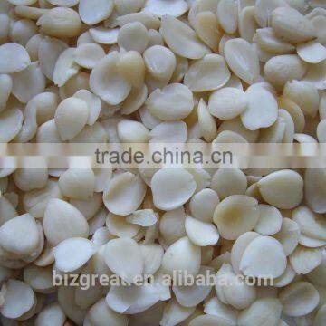 Blanched Sweet Apricot Kerenels Whole Piece Longwang Type in China photo-4