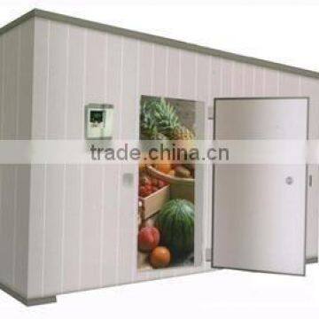 hot sell chill room for meat and fruit