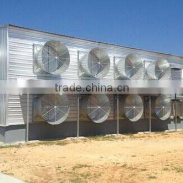 design and building layers poultry shed/coops/house
