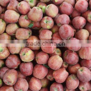 Huaniu Apple photo-2