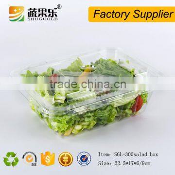 China Manufacturer Fruit Packing Plastic Salad Box