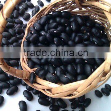 Organic Black Kidney Bean/Black Turtle Bean( 2011 crop, Heilongjiang origin, HPS)