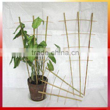 Using support plant and flower little bamboo hoop