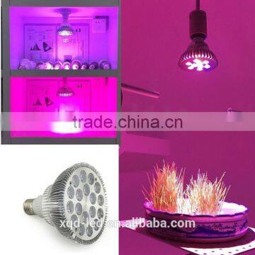 Newest Popular 7w Chip Led Grow Light photo-3