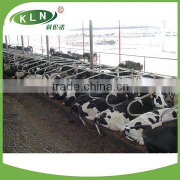 KLN galvanized cow free stall barns