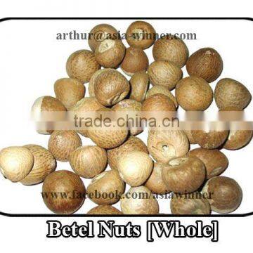 Areca catechu [Whole]