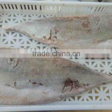 IQF Yellow Tail Scad Fillet Frozen Fillet