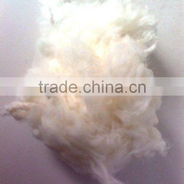 carpet grade scoured wool best price