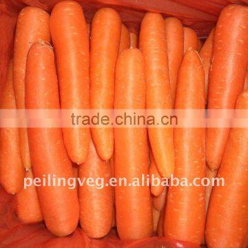 Chinese Fresh Baby Carrots supplier 80-150g