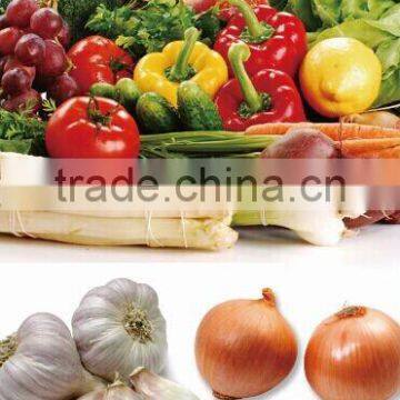 China Vegetables Frozen IQF Yellow Peach Dices Fruit photo-6