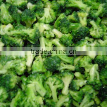 IQF Broccoli Deep Frozen Vegetable