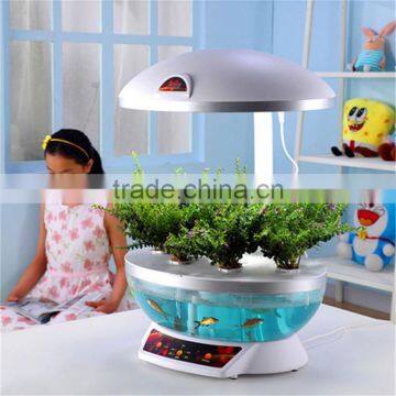 Wall Hanging Fish Tank photo-5