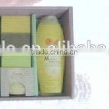 shampoo soap giftware set
