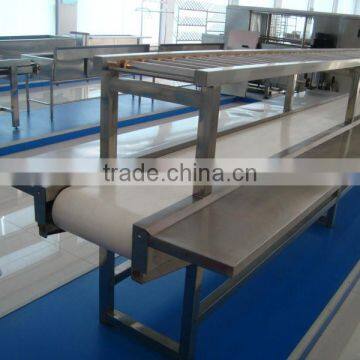 Light conveyor belt