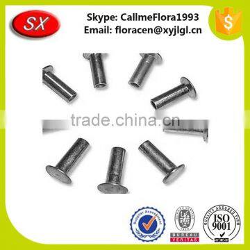 Hot Sale Custom Metal Semi-Tubular Rivet (China Manufacture/Hight Quality) photo-4