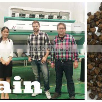 Automatic Best Quality Coffee Bean Color Sorting Machine photo-4