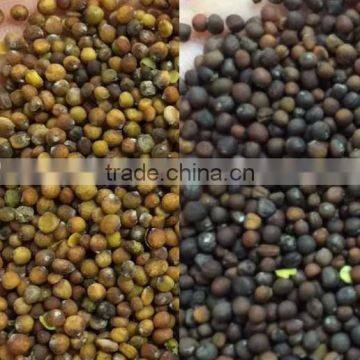 Seed CCD Camera Color Selector