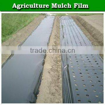 High Quality Agricultural Black Polyethylene Plastic Mulch Film for Strawberry photo-4