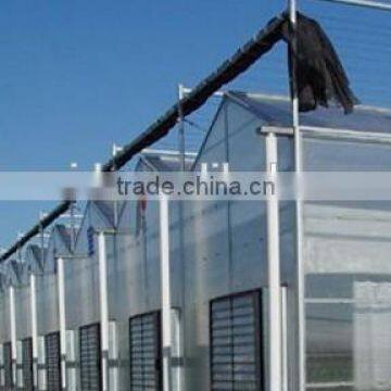 Greenhouse Sheet photo-3