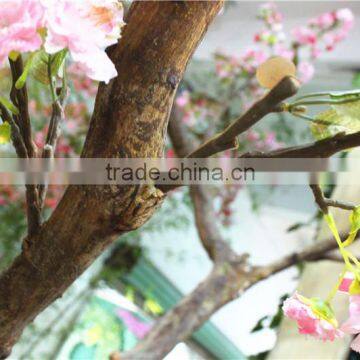 Cherry Flower Tree Man Made Sakura Plant Tree photo-2