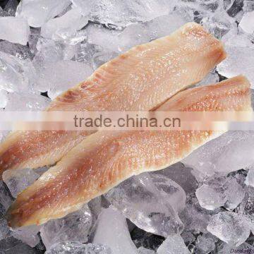fish herring fillet