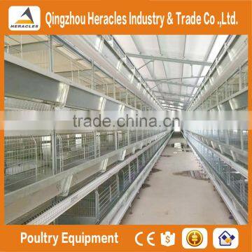 Best Selling Poultry Farming Layer Chicken Cage-H Type 4 or 5 Layers for Egg Chicken photo-3