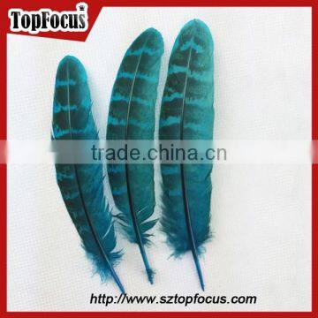 Natural Ringneck Rounds Cheap Dyed Pheasant Feathers Sale photo-3