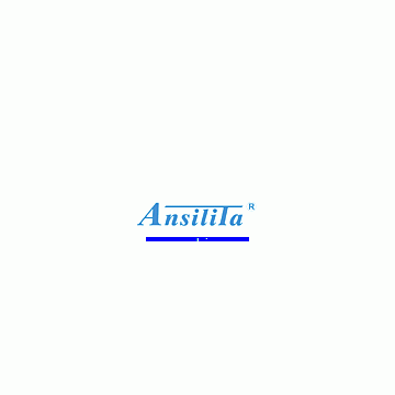 Shenzhen Ansilita Security Industrial Co., Ltd.
