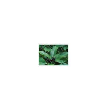 sell Cascara Sagrada Extract