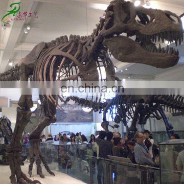 2013 kids indoor playgrounds museum quality resin dinosaur skeleton