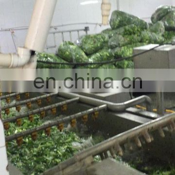 Industrial Air Bubble Vegetable Washing Machine