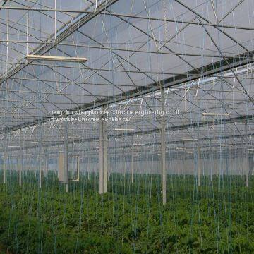 light steel structure film covered glass green house