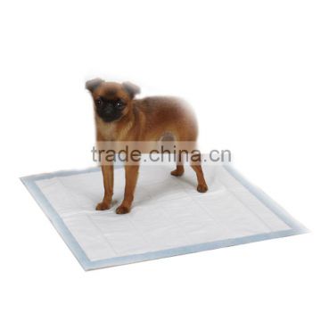 pee pee pad holder training pads