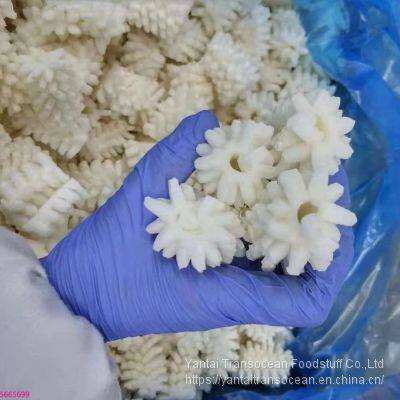 Squid Flower photo-3