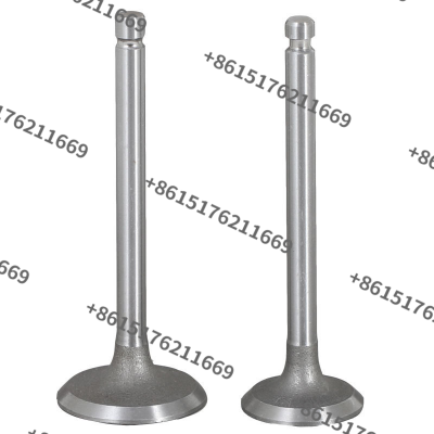 R175 S195 1100 1110 1115 Diesel Engine Valve