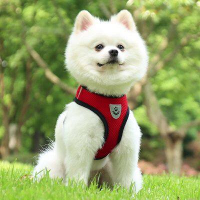XXX Small Dog Harness For Chihuahuas and Yorkies