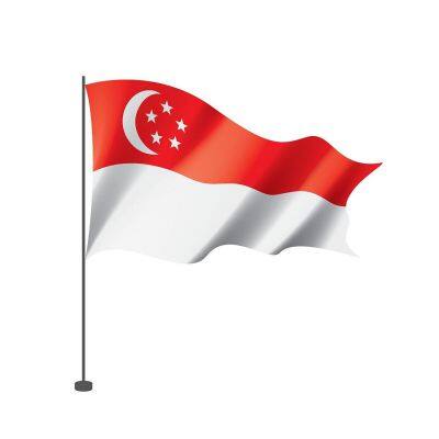 Sea, air services from China to Singapore Amazon FBA Service DDP/DDU