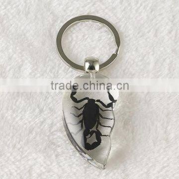 Promotional Real Black Scorpion Amber Wholesale Crystal Key Chain photo-2