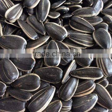 sunflower seed ton price sunflower seeds market price cheap sunflower seeds