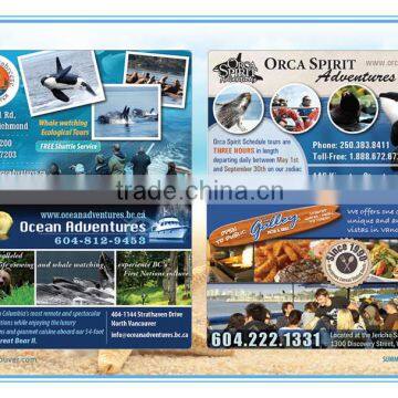Advertisement Flyer Printing Service, Posters, Propaganda Flyers Quality Choice photo-2