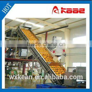 Staliess steel/plastic paddle elevator conveyor