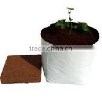 Uv treated coco peat grow bags for strawberry planting