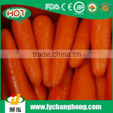 Fresh Carrot Wholesale Price/China Fresh Carrot