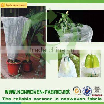 fruit shaped bags polypropylene non-woven TNT