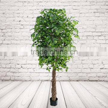 Artificial Ficus Tree For Commercial Decoration , Artificial Trees