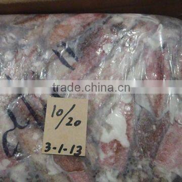 FROZEN LOLIGO SQUID photo-3