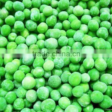 China good price IQF Frozen green peas