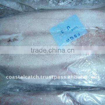 frozen Loligo squid