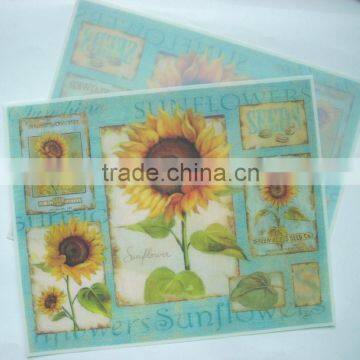 Custom made full color printing PP placemat, pvc placemat